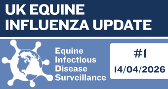 UK Equine Influenza Update